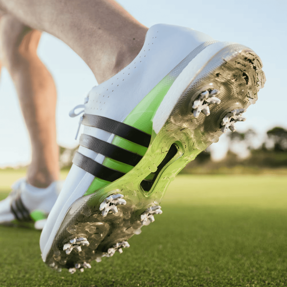 adidas Men's Tour360 24 Golf Shoes