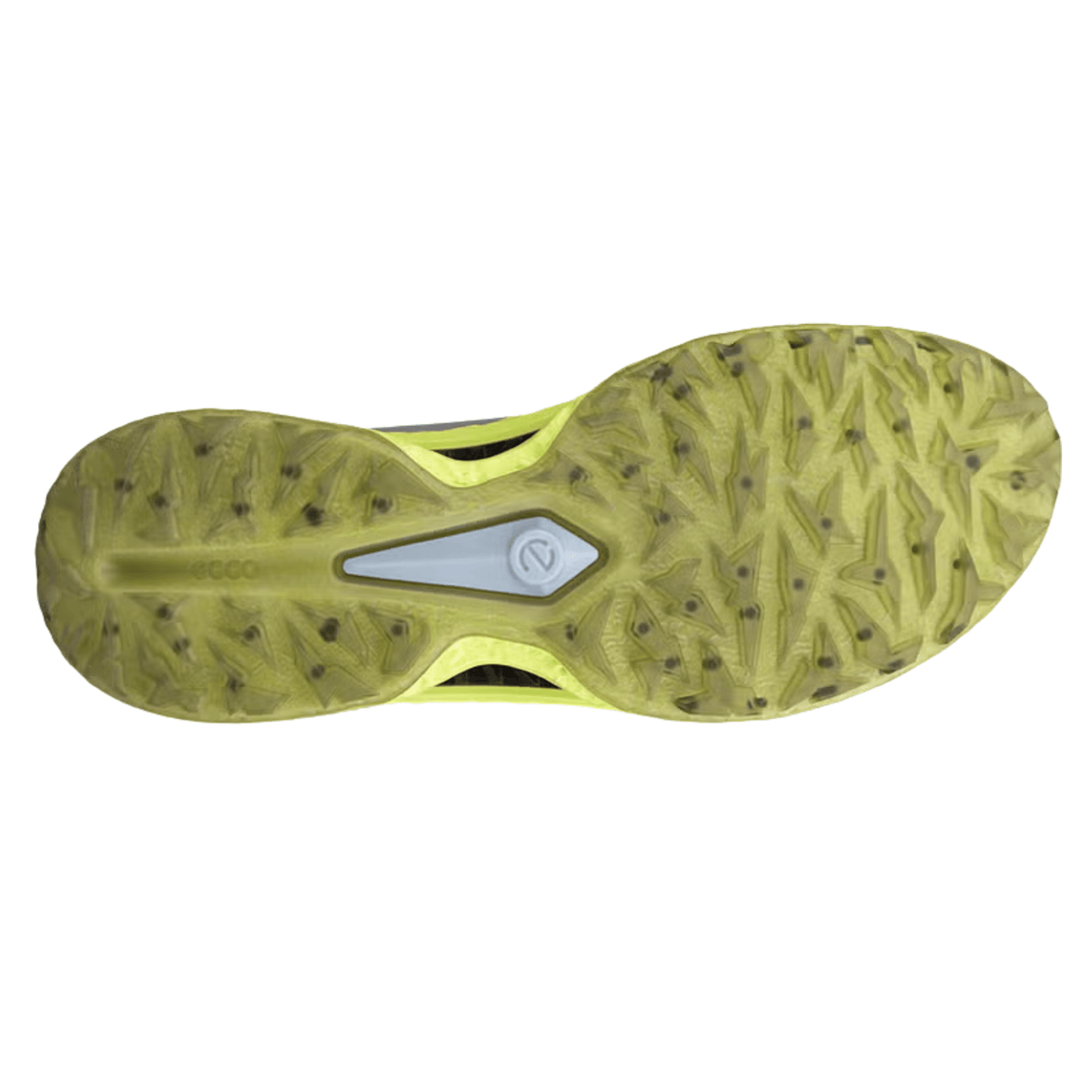 ECCO Golf Biom C5 Lace Spikeless Golf Shoes