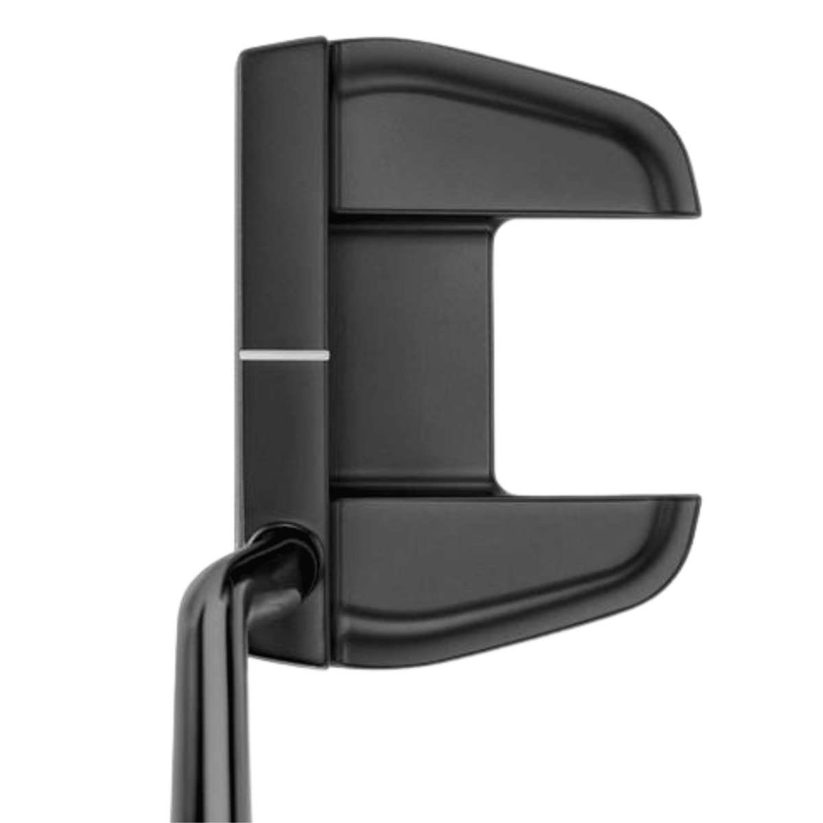 Mizuno M Craft Tokyo B Grey Ion Putter