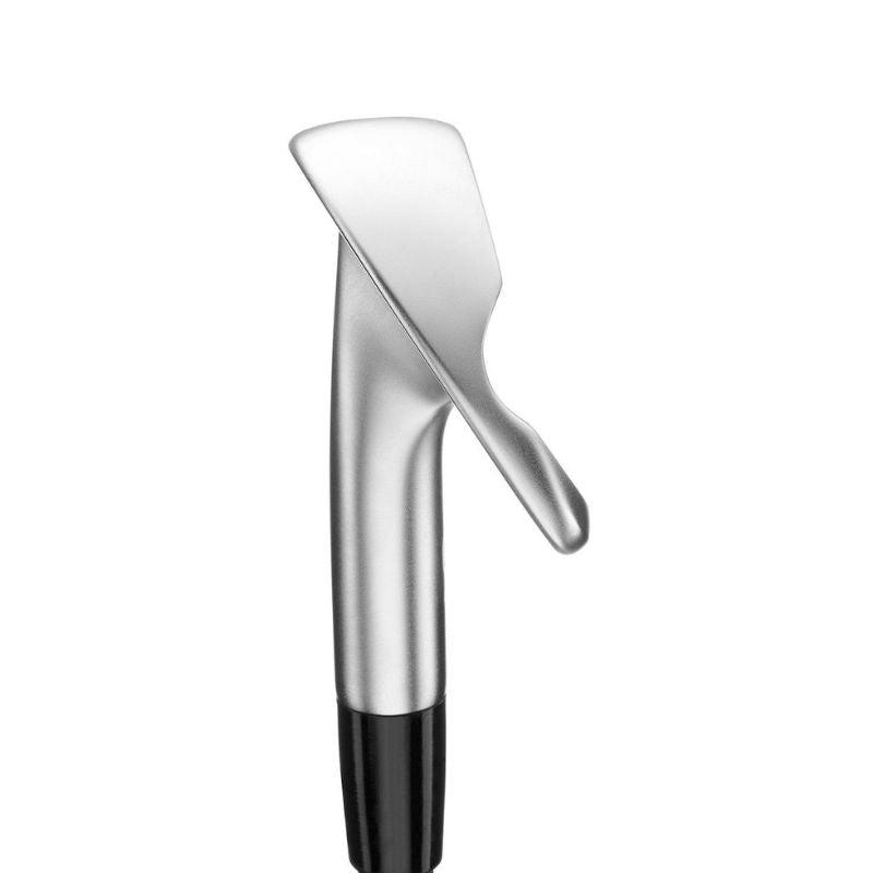 Mizuno Pro S-1 Iron Set - 4-PW - Steel