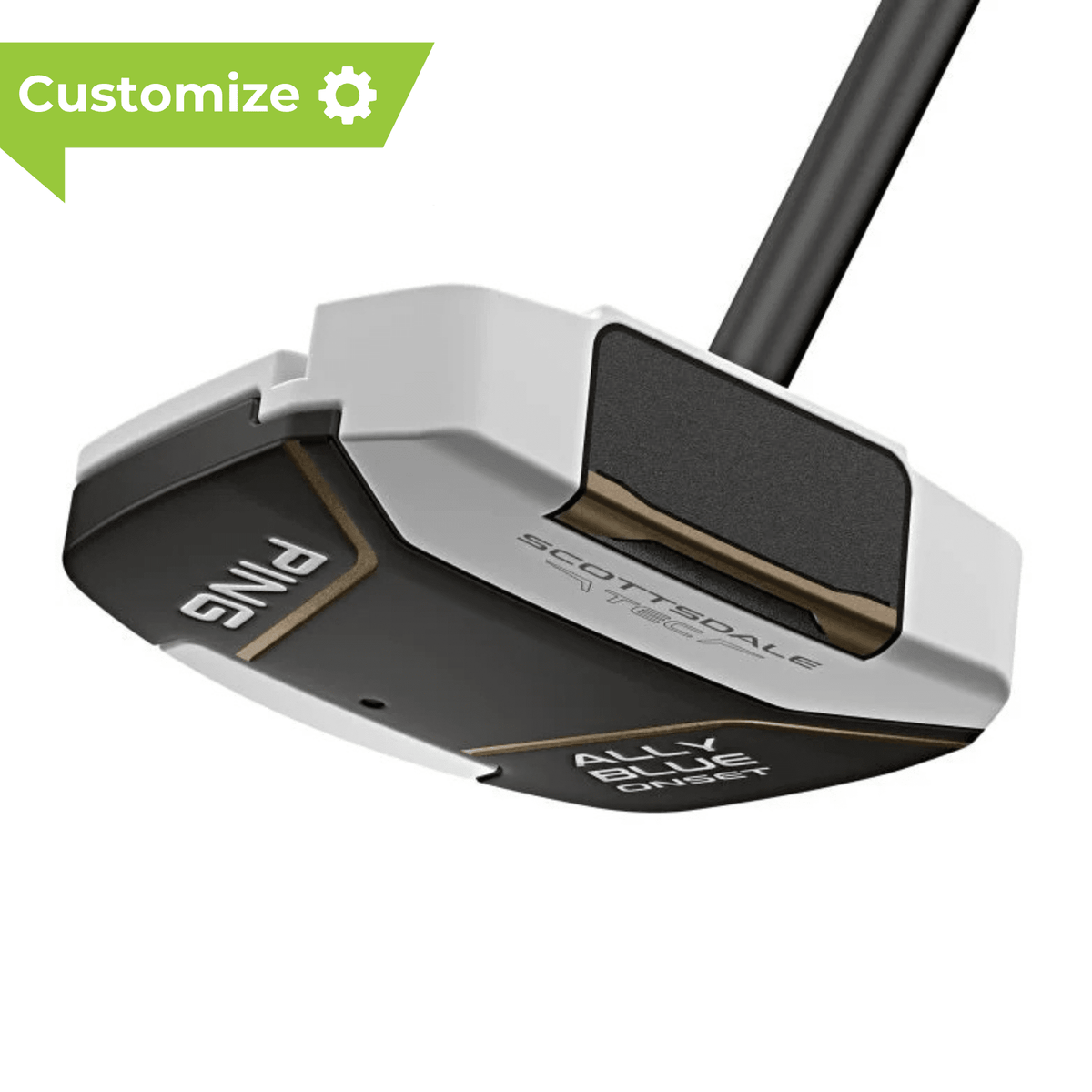 PING Scottsdale Tec Ally Blue Onset Putter - Build Your Own