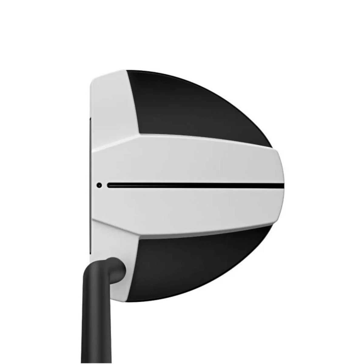 PING Scottsdale Tec Hayden Putter - Build Your Own