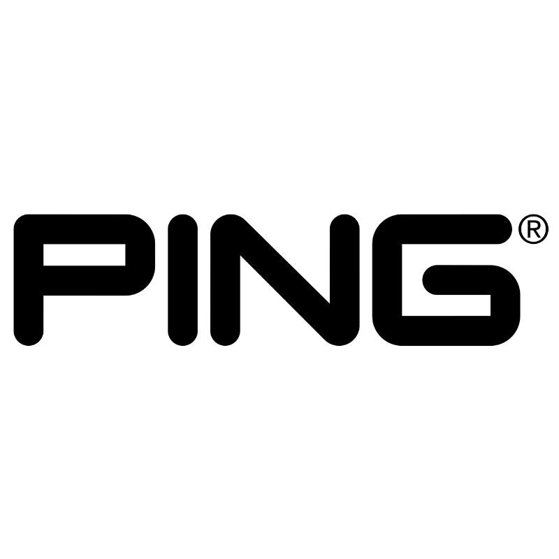 Black 'PING' logo on a white background