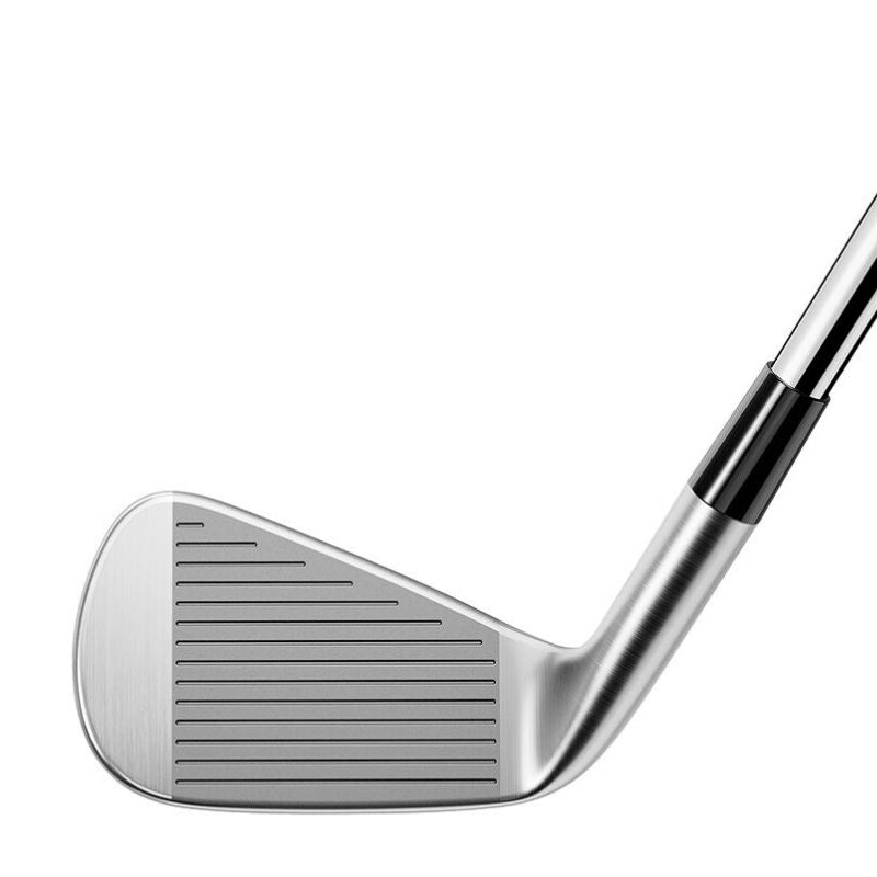 TaylorMade P770 Iron Set - 4-PW