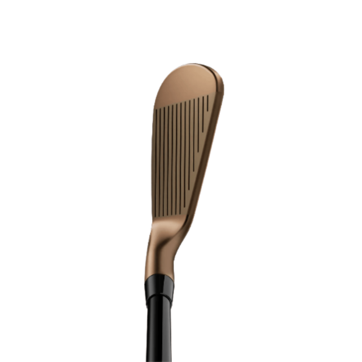 Titleist T100 4G Oil Can Irons (Steel) - Build Your Own 6 - PW