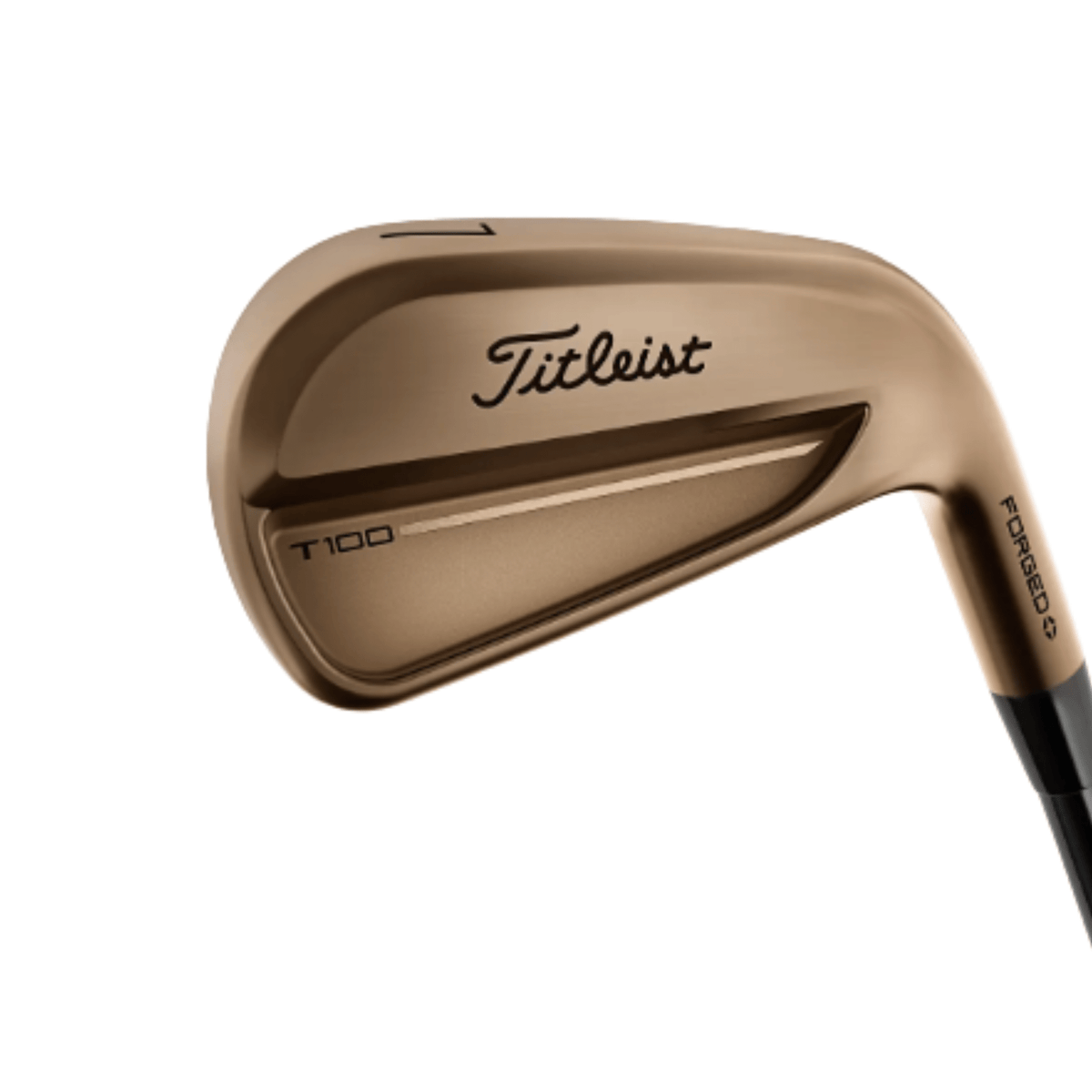 Titleist T100 4G Oil Can Irons (Steel) - Build Your Own 6 - PW